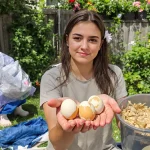 On vous vend le rêve des œufs frais, voici la vérité sur les mauvais côtés d’une poule au jardin